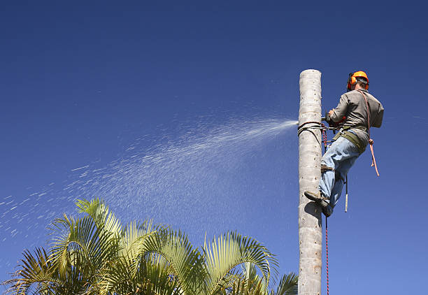 Lawn Irrigation Installation and Maintenance